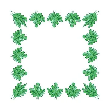 Frames on a square background - stylized green oak leaves, plants - graphics. Illustrazione stock