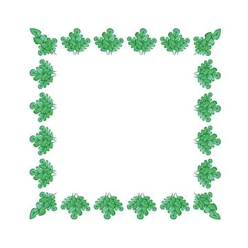 Frames on a square background - stylized green oak leaves, plants - graphics. Stock Illustration