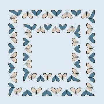Frames on a square background - stylized moths - graphics. Design elements Stock Illustration