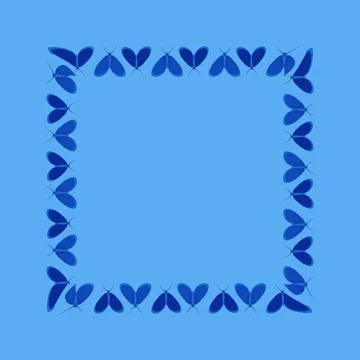 Frames on a square background - stylized moths - graphics. Design elements Illustrazione stock