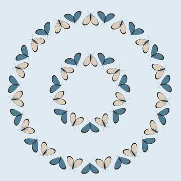 Frames on a square background - stylized moths - graphics. Design elements Stock Illustration