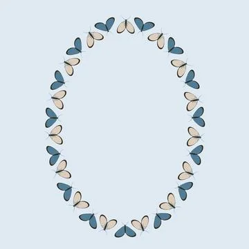 Frames on a square background - stylized moths - graphics. Design elements Stock Illustration