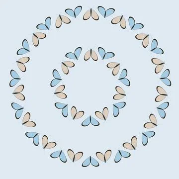 Frames on a square background - stylized moths - graphics. Design elements イラスト素材