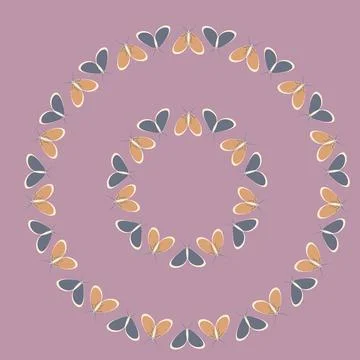 Frames on a square background - stylized moths - graphics. Design elements Stock Illustration