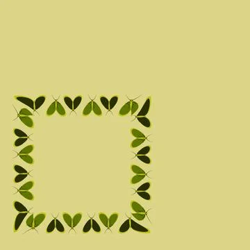 Frames on a square background - stylized moths - graphics. Design elements Stock Illustration