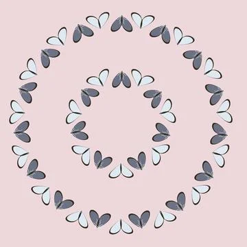 Frames on a square background - stylized moths - graphics. Design elements Stock Illustration