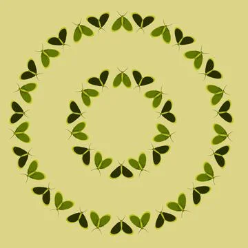 Frames on a square background - stylized moths - graphics. Design elements Illustrazione stock