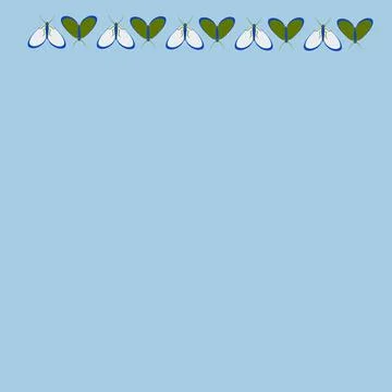 Frames on a square background - stylized moths - graphics. Design elements イラスト素材