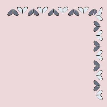 Frames on a square background - stylized moths - graphics. Design elements Illustrazione stock