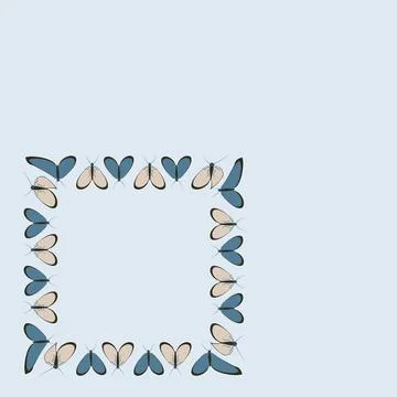 Frames on a square background - stylized moths - graphics. Design elements 스톡 일러스트