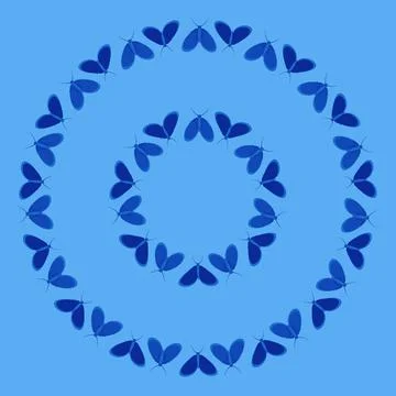 Frames on a square background - stylized moths - graphics. Design elements Stock Illustration