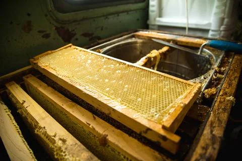 Frames in which is stored Unfinished fresh honey in honeycombs Frames in w... Foto stock
