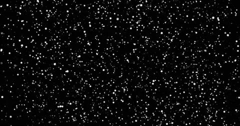 Frames White snowflakes on a black background winter, animated snowflake, snow Stock Footage 218496269