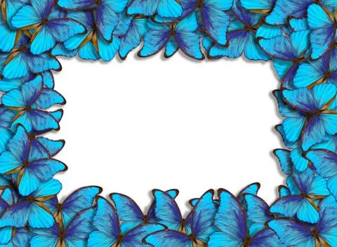 Framework with butterflies Morpho. Stock Photos