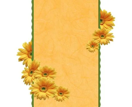 Framework with chrysanthemums Stock Photos