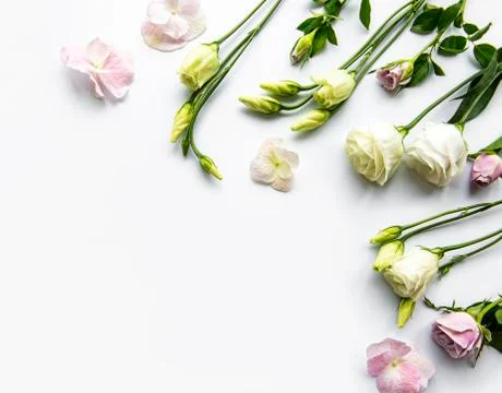 Framework from flowers Foto stock