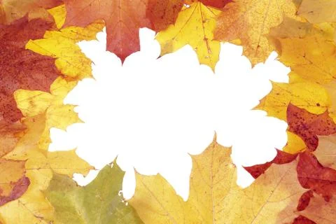 Framework from maple leaves Stock Photos