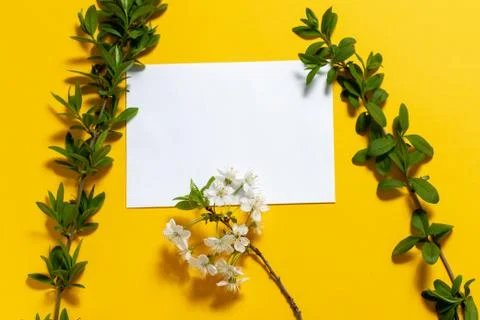 Framework for photo or congratulation. Stock Photos