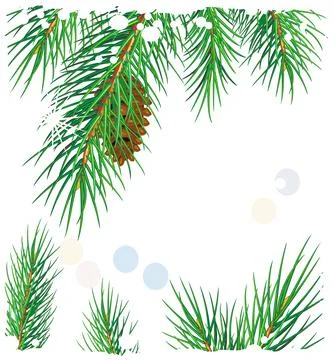 Framework with pine branches Stock Illustration