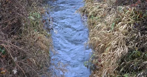 Framing with geometric composition of a stream flowing among tall grass 库存影片 146994971