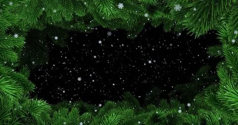 Framing green pine branches forming wreath border in winter graphic, showing Stock Illustration