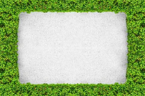 Framing of live plants Stock Photos