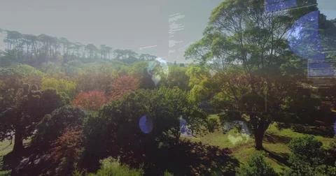 Framing tree canopy and grassy clearing at park, showing code overlay and blue Stock Photos