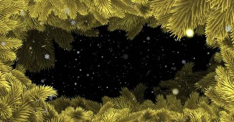 Framing yellow-green pine branches around dark sky in night forest canopy, with Stock Illustration