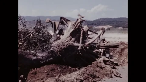 FRANCE - 1944 - US Army Engineers bulldoze grape vines and trees in France to Stock Footage 340577872