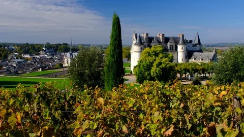 France - Amboise Stock Footage 96887611