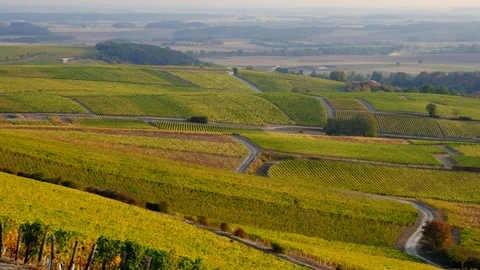 France - Amigny Stock Footage 96920223