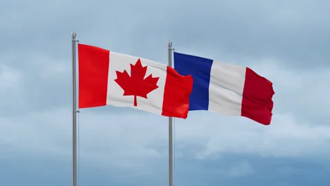 France and Canada flags Stock-Footage 252023655