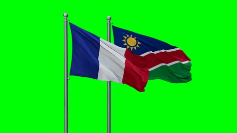 France and Namibia waving flags Stock-Footage 289638472