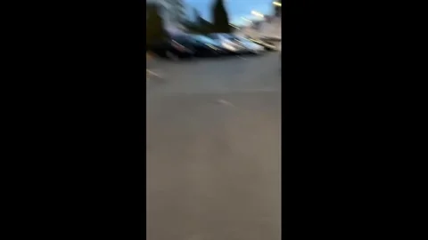 France: Boar rams through gate while running away in Paris, France Vidéo 344292063