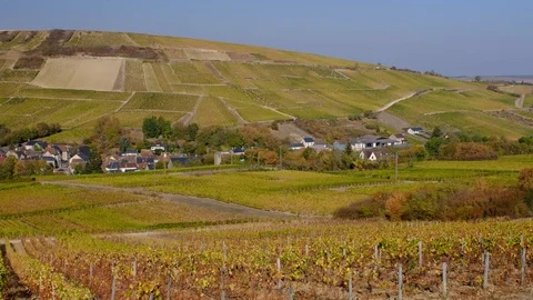 France - Chavignol Stock Footage 96918233