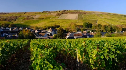 France - Chavignol Stock Footage 96919307
