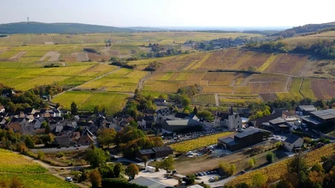 France - Chavignol Stock Footage 96920418