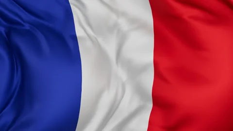 France cloth flag background loop Stock Footage 310849246