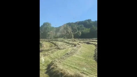 France: Dust devil forms over field in Thonne-les-Pres, France Vídeos de archivo 337405248