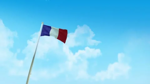 France Flag 3D Render Animation with Fighter Jets Formation in Blue Sky Video stock 333247519