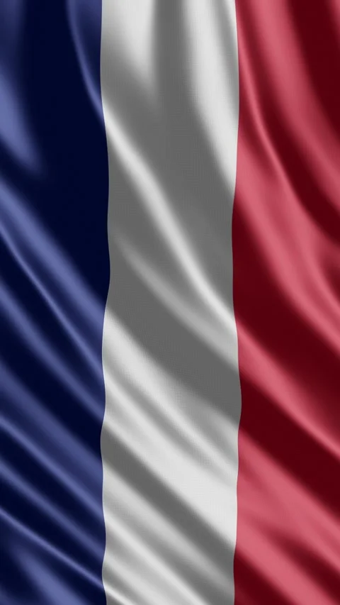 France Flag Animation. Stock Footage 340268530