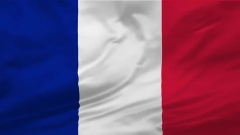 France flag background Stock Footage 263943106