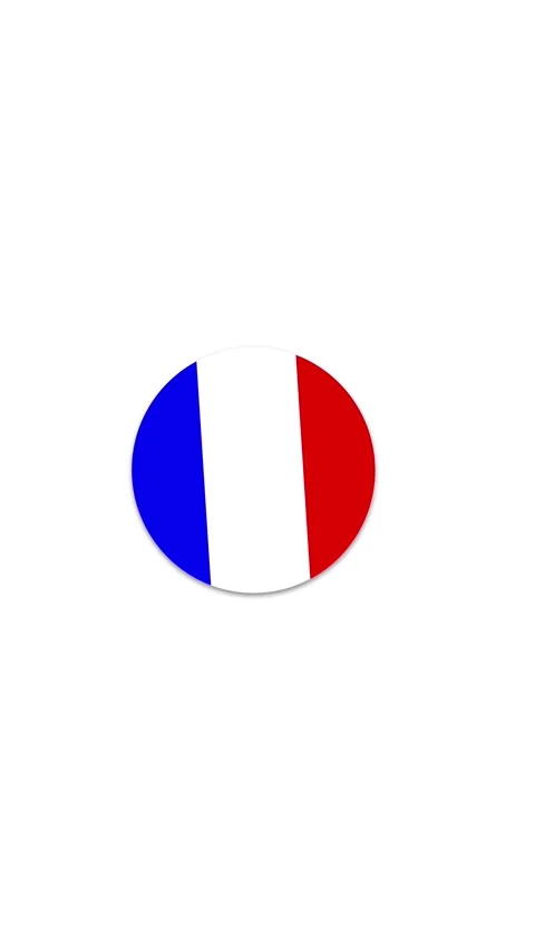 France Flag Button Icon Animation Stock Footage 336747525