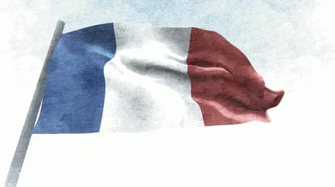 France Flag Stock Footage 36045268