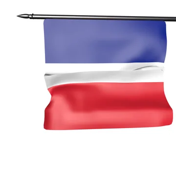 France flag Stock Footage 46501802