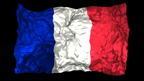 France flag Stock Footage 110807498