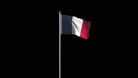 France Flag Video stock 159905000