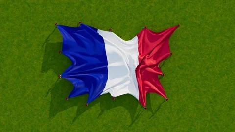 France flag Stock Footage 201129136