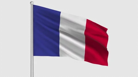 France Flag Stock Footage 207206390