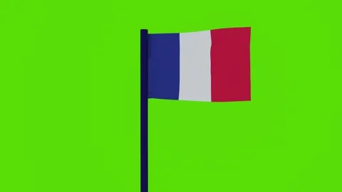 France Flag 스톡 동영상 255419204